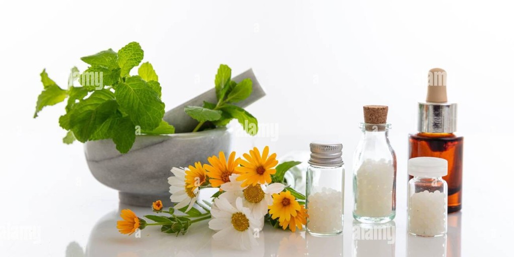 Homeopathy: mortar with herbs, flowers and natural remedies