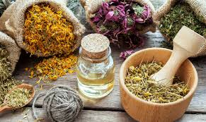 Phytotherapy: dried herbs, oils and traditional tools for plant-based medicine